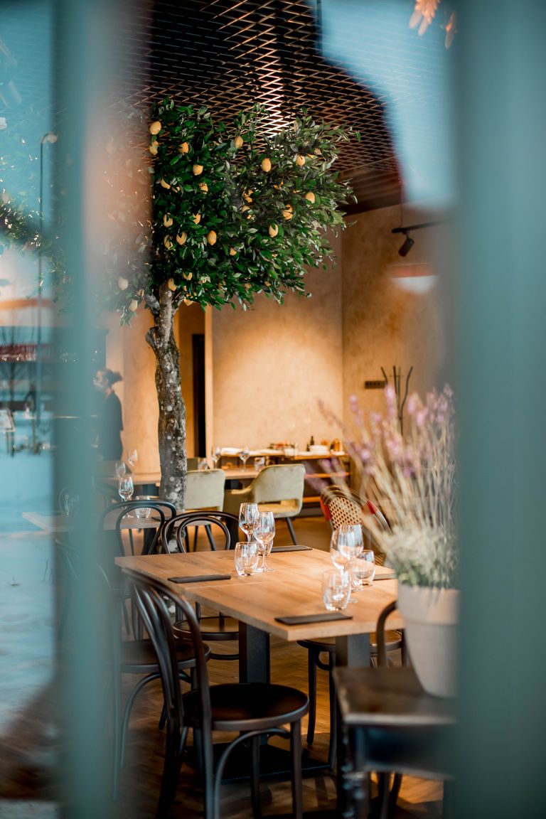 Ton client idéal n'existe pas ! Stylish restaurant interior featuring wooden tables, elegant chairs, and lush indoor plants.